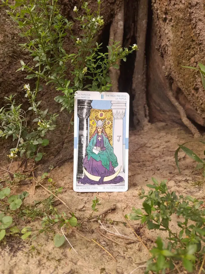 The High Priestess tarot card placed amidst natural greenery outdoors.